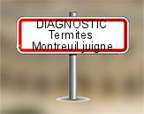 Diagnostic Termite AC Environnement à Montreuil Juigné